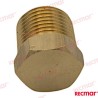 ANODENSTECKER