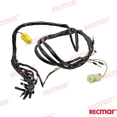 MOUNTING HARNESS, METER