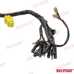 MOUNTING HARNESS, METER