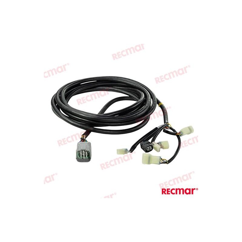 CABLE ARNÉS PANEL INDICADOR 20FT