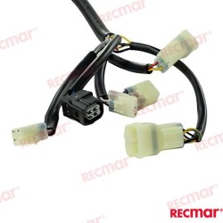 CABLE ARNÉS PANEL INDICADOR 20FT