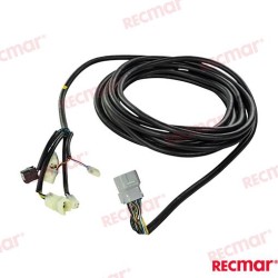 CABLE ARNÉS PRINCIPAL 25FT