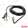 CABLE ARNÉS PRINCIPAL 25FT