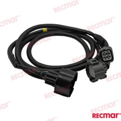 CABLE DE MOTOR SINGLE 6FT
