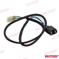 INTERRUPTOR TRIM