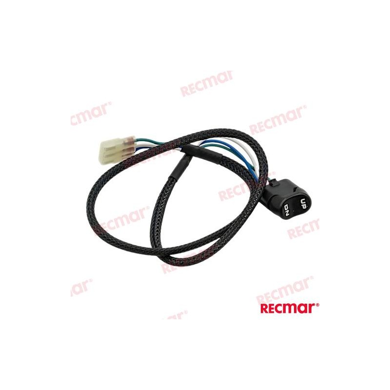TRIM SWITCH