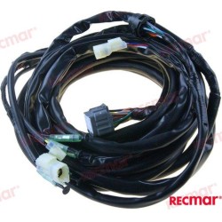 ARNES EXT. SUZUKI 5 M. CON PT