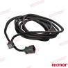 ARNÉS ELÉCTRICO MANDO 20/21FT