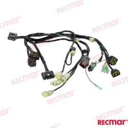 WIRE ASSY BCM NO.1 SNGL