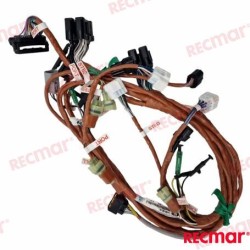WIRE ASSY BCM NO.1 MULT