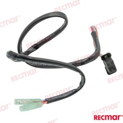 INTERRUPTOR TRIM