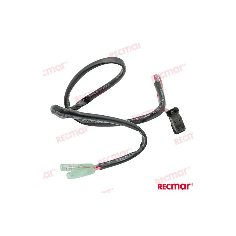INTERRUPTOR TRIM