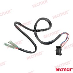 INTERRUPTOR TRIM
