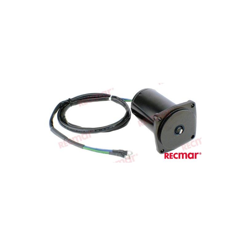MOTOR DE TRIM SUZUKI