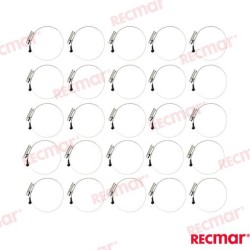 STAINLESS STEEL CLAMP 40-60 W5 (25)