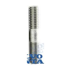 ESPARRAGO CAMPANA SX