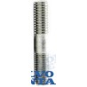 ESPARRAGO CAMPANA SX