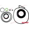 KIT JUNTAS PARTE INFERIOR COLA SX-A,DP-S