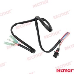 INTERRUPTOR TRIM