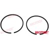 PISTON RINGS