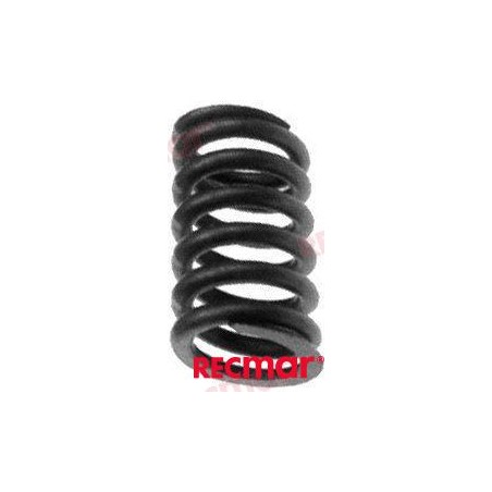 VALVE SPRING