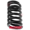 VALVE SPRING