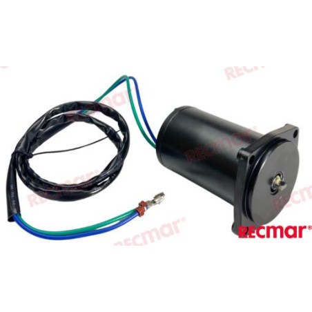 MOTOR TRIM E-TEC