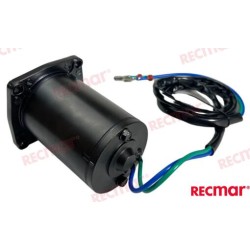 MOTOR TRIM E-TEC