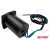 MOTOR TRIM E-TEC