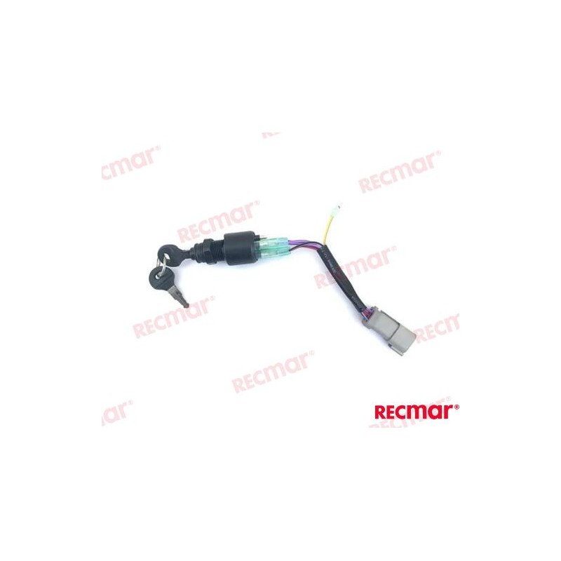 CONJUNTO DE CABLEADO E INTERRUPTOR DE PU