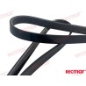 CORREA