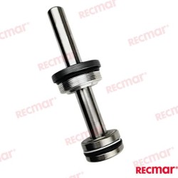 PISTON DE TRIM COMPLETO