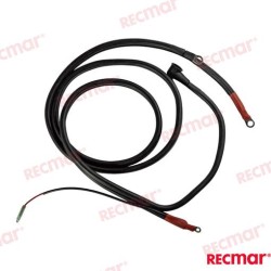 CABLE DE BATERIA 2,5M