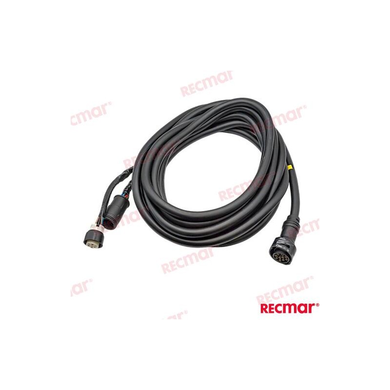 EXTENSION 10PINS (6M)