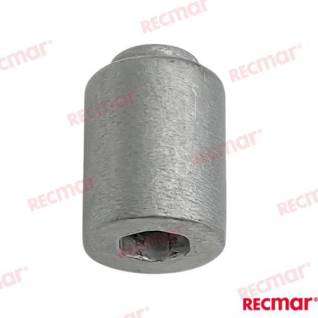 YAMAHA ANODE 75-250 PS (ZN)