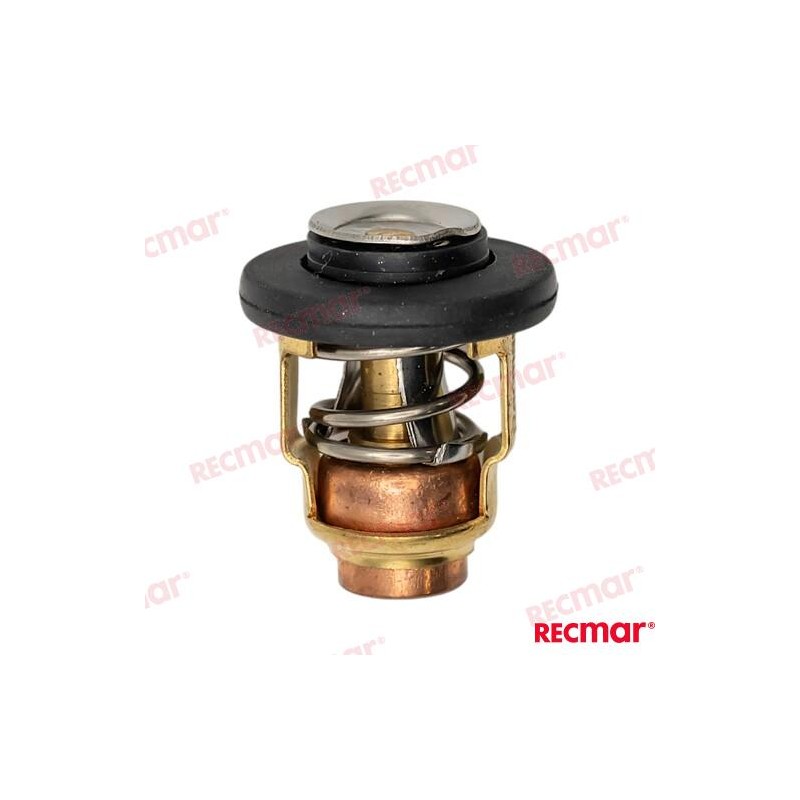 TERMOSTATO YAMAHA 60ºC