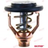 Yamaha-Thermostat 60 °C