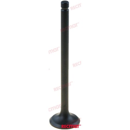 YAMAHA EXHAUST VALVE