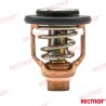 TERMOSTATO YAMAHA 60ºC