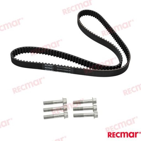 CORREA DISTRIBUCION CON TORNILLOS