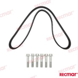 CORREA DISTRIBUCION CON TORNILLOS
