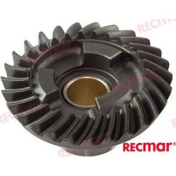PINION
