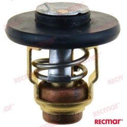 Yamaha-Thermostat 60 °C