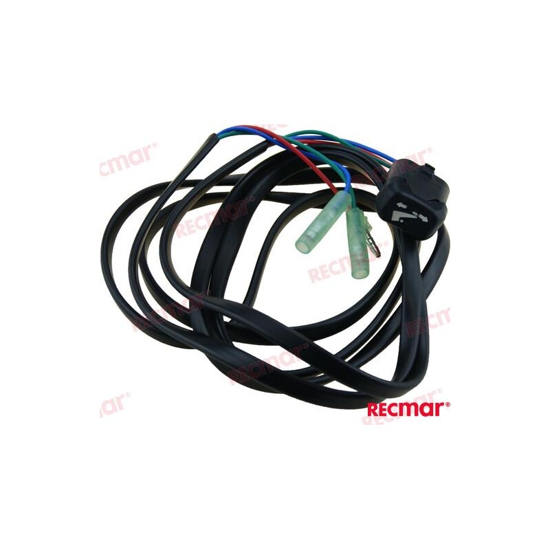 TRIM SWITCH