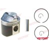KIT PISTON STD