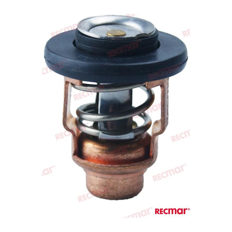 THERMOSTAT