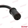 CABLEADO ADAPTADOR MOTOR 14 A 10 PINES