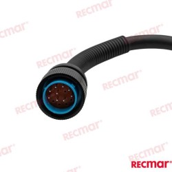 CABLEADO ADAPTADOR MOTOR 14 A 10 PINES