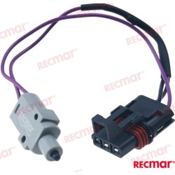 MICRORRUPTOR
