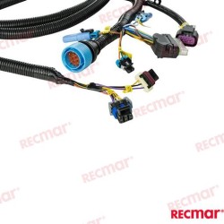 KIT MÓDULO COMANDO MONOMOTOR DTS